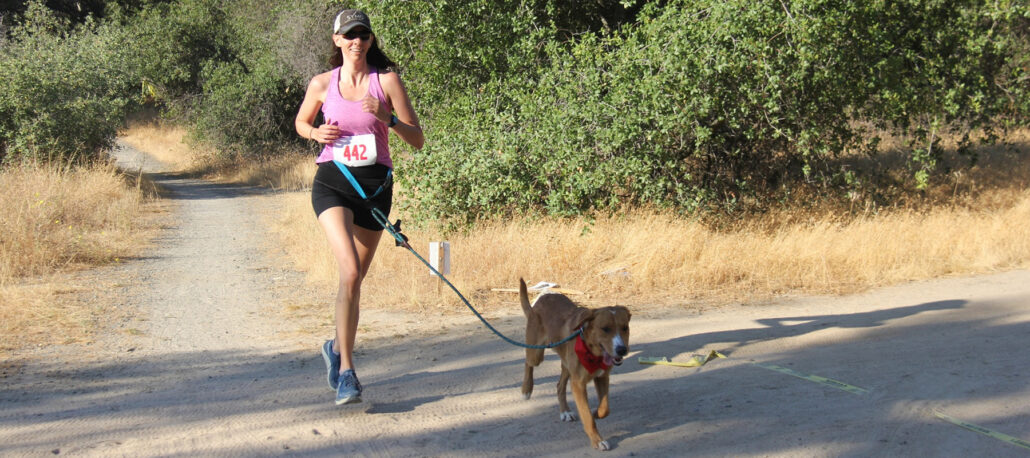 Good Dog-Dirty Dog 5K and 10K Run